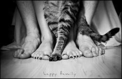 счастливая семья
